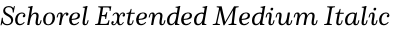 Schorel Extended Medium Italic
